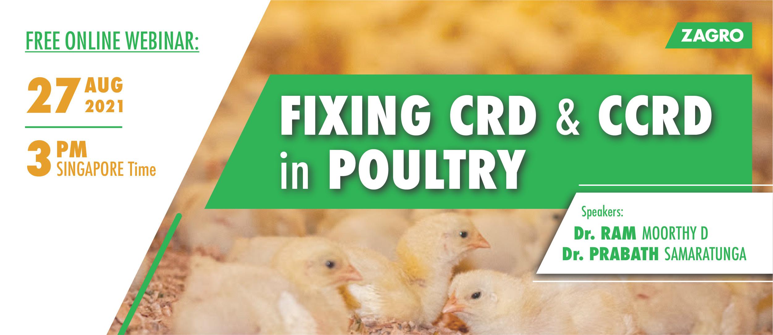 Fixing CRD and CCRD in Poultry